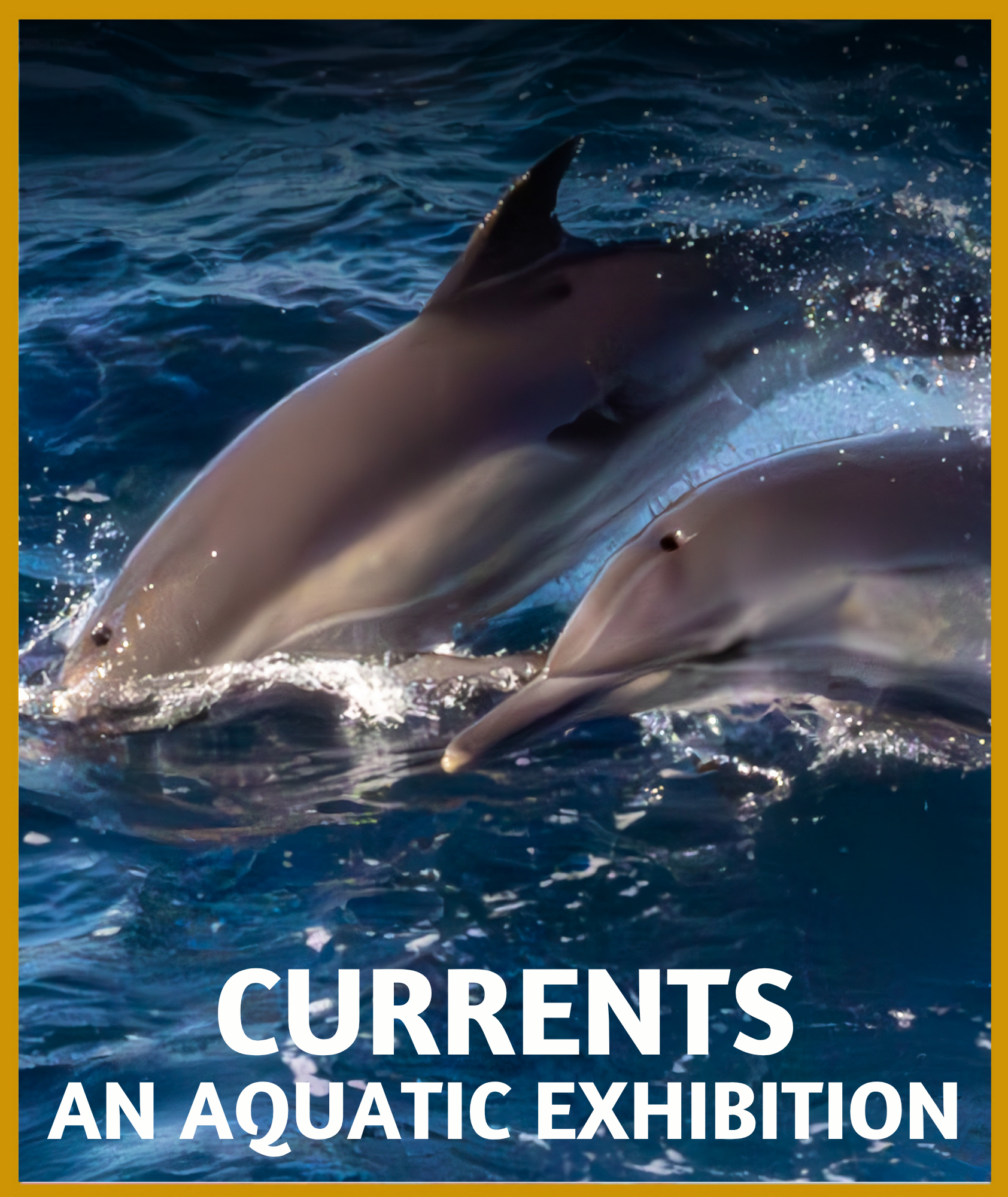 OPEN JULY 1 – AUGUST 28 Image